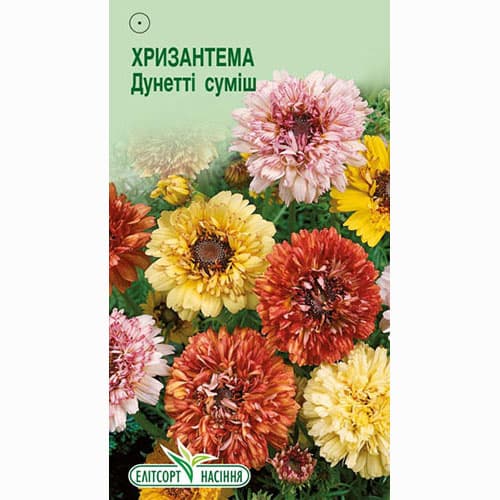Хризантема Дунетти, смесь окрасок Элитсорт рисунок 1 артикул 95127