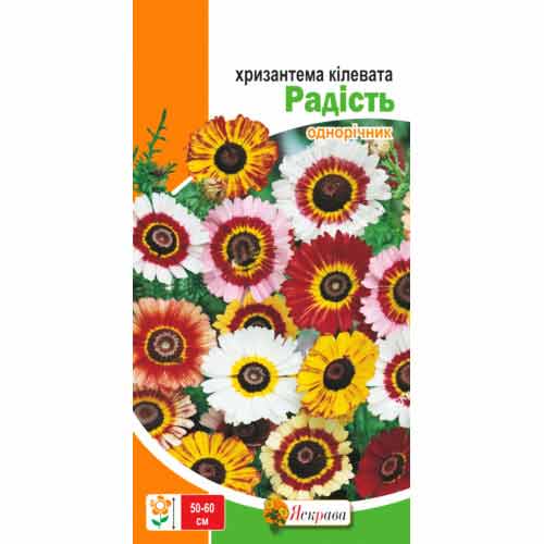 Хризантема килеватая Радость Яскрава артикул фото 1 Хризантема килеватая Радость Яскрава рисунок 1 артикул 99806