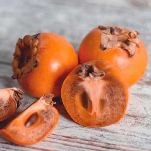 Хурма Шоколад, саджанці артикул фото 1 Хурма Шоколад, саджанці зображення 1 артикул 5752