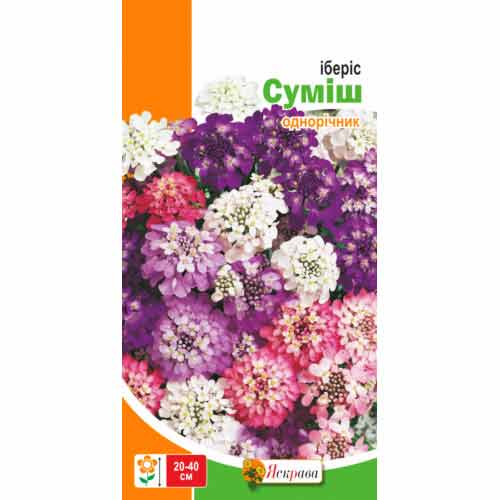 Иберис, смесь окрасок Яскрава рисунок 1 артикул 72182