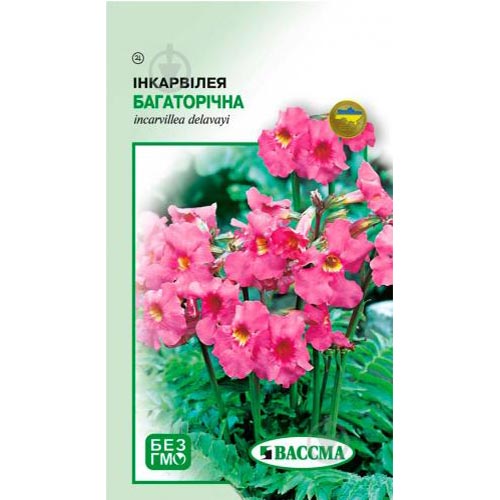 Инкарвиллея Seedera артикул фото 1 Инкарвиллея Seedera рисунок 1 артикул 77008