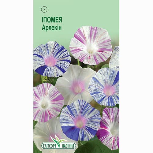 Іпомея Арлекін, суміш забарвлень Елітсорт зображення 1 артикул 96175