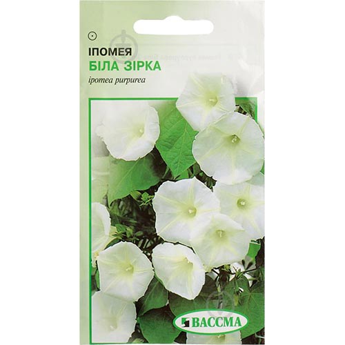 Ипомея Белая звезда Seedera рисунок 1 артикул 66407