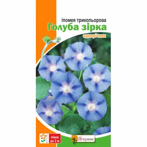 Іпомея Голуба зірка Яскрава зображення 1 артикул 77010