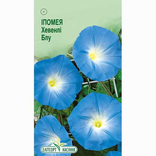 Іпомея Хевенлі Блу Елітсорт зображення 1 артикул 95112