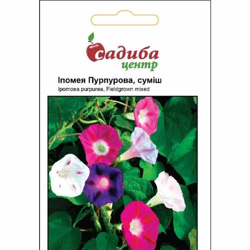 Іпомея Пурпурова, суміш забарвлень Садиба центр зображення 1 артикул 89223