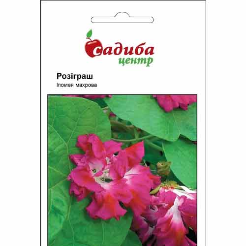 Іпомея Розіграш Садиба центр зображення 1 артикул 87633