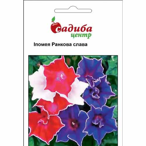 Іпомея Ранкова слава Садиба центр зображення 1 артикул 89224