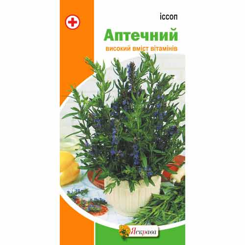 Иссоп Аптечный Яскрава рисунок 1 артикул 72188