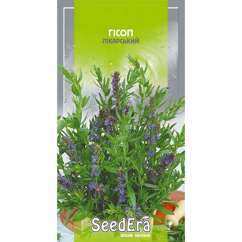 Гісоп лікарський Seedera зображення 1 артикул 90048