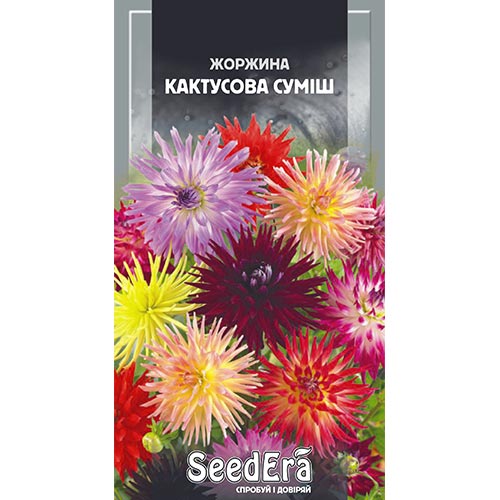 Георгина Кактус, смесь окрасок Seedera рисунок 1 артикул 94955