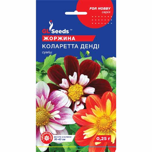 Жоржина Коларета Денді GL Seeds зображення 1 артикул 85806