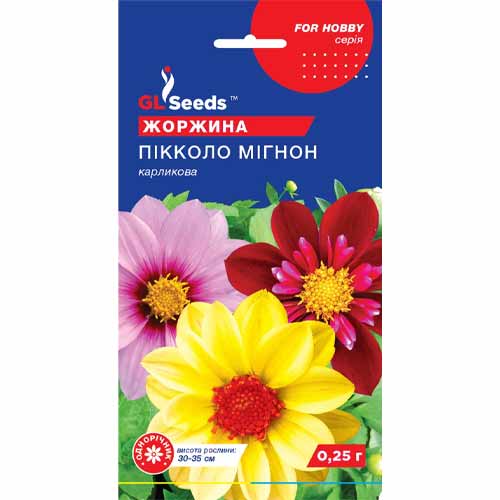 Георгина Пиколо Мигнон GL Seeds рисунок 1 артикул 85807
