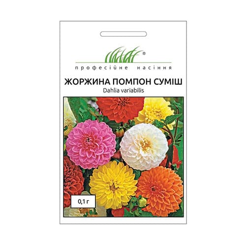 Георгина Помпон, смесь окрасок Профессиональные семена рисунок 1 артикул 87562