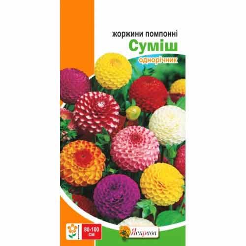 Георгины помпонные, смесь окрасок Яскрава рисунок 1 артикул 99780