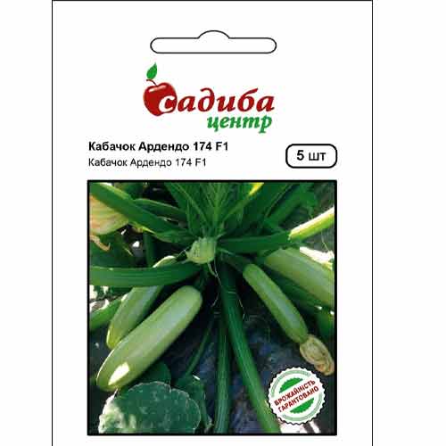 Кабачок Ардендо 174 светло-зеленый F1 Садиба центр рисунок 1 артикул 89230