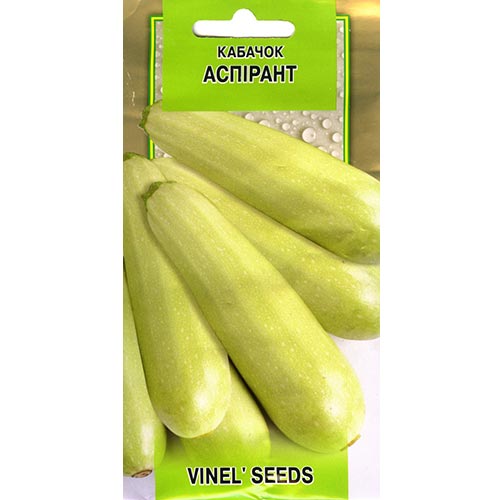 Кабачок Аспирант Vinel seeds рисунок 1 артикул 95543
