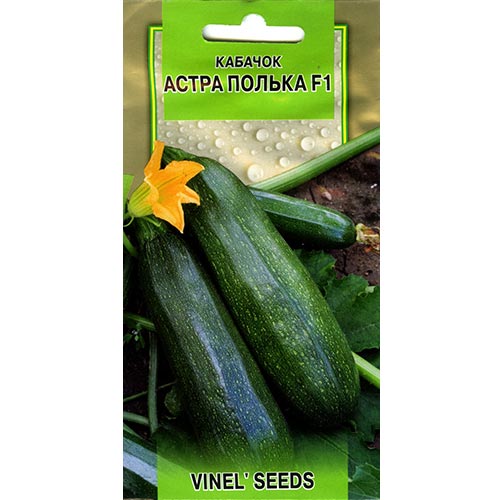 Кабачок Астра Полька F1 Vinel seeds, семена рисунок 1 артикул 95544