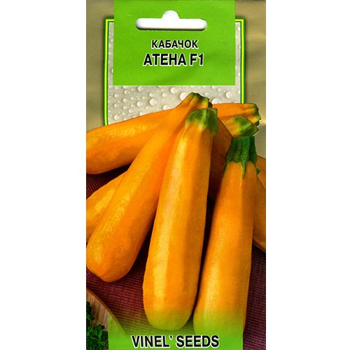 Кабачок Атена F1 Vinel seeds, семена рисунок 1 артикул 95545