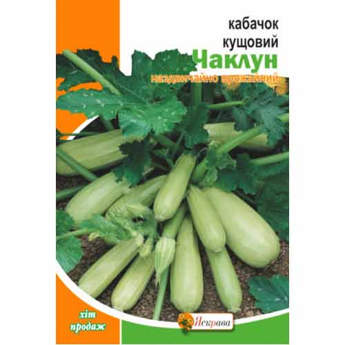 Кабачок Чаклун Яскрава зображення 1 артикул 99848