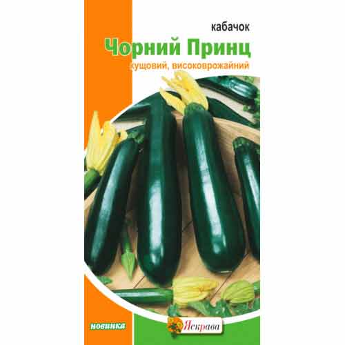 Кабачок Черный принц Яскрава артикул фото 1 Кабачок Черный принц Яскрава рисунок 1 артикул 99849