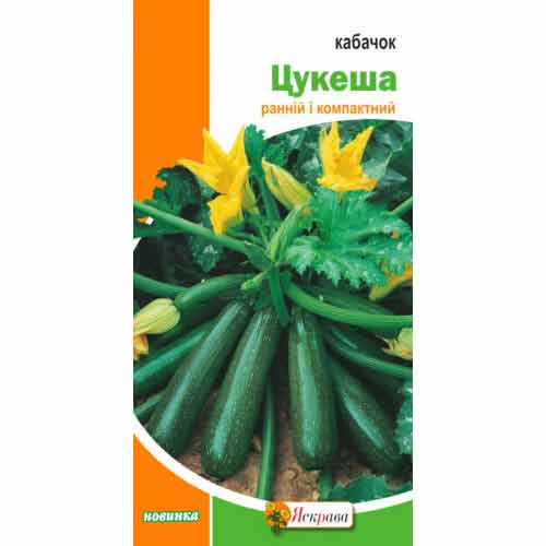 Кабачок Цукеша Яскрава, семена артикул фото 1 Кабачок Цукеша Яскрава, семена рисунок 1 артикул 99846