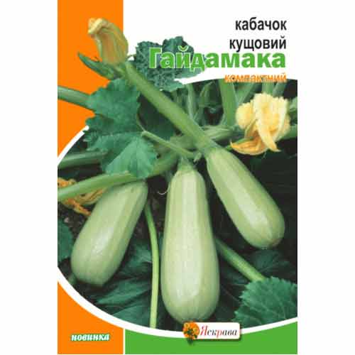 Кабачок Гайдамака Яскрава, семена рисунок 1 артикул 99840