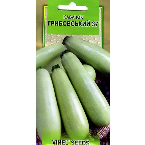 Кабачок Грибовский 37 Vinel seeds рисунок 1 артикул 95548