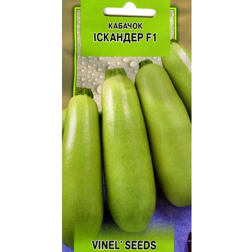 Кабачок Искандер F1 Vinel seeds рисунок 1 артикул 95550