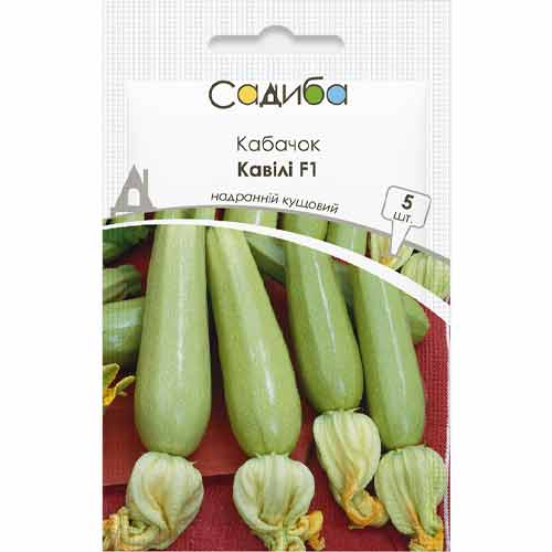 Кабачок Кавили F1 Садыба центр рисунок 1 артикул 89239