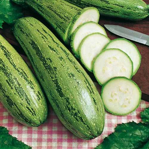 Кабачок Грейзіні F1, насіння зображення 1 артикул 65476