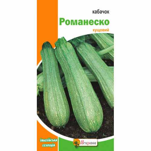 Кабачок Романеско Яскрава, насіння зображення 1 артикул 72204