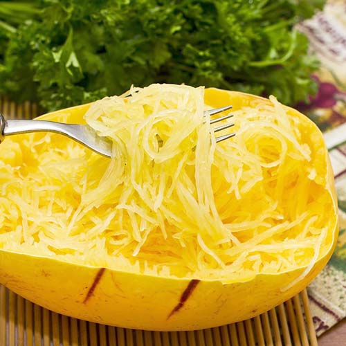 Кабачок спагетти Порционный F1, семена рисунок 1 артикул 65333