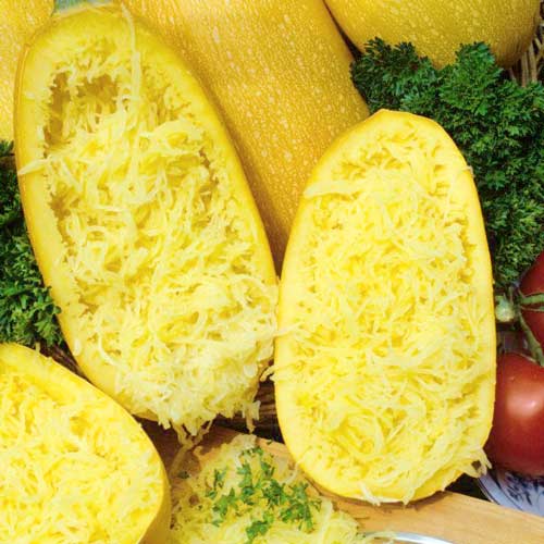 Кабачок спагетти Порционный F1, семена рисунок 2 артикул 65333