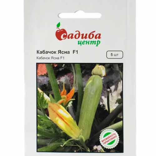 Кабачок Ясный светло-зеленый F1 Садиба центр рисунок 1 артикул 89247