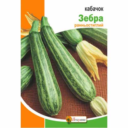 Кабачок Зебра Яскрава, насіння зображення 1 артикул 99842