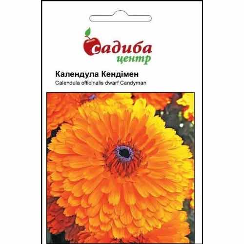 Календула Кэндимэн Садыба центр рисунок 1 артикул 89266