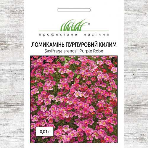 Камнеломка пурпурный ковер рисунок 1 артикул 90307