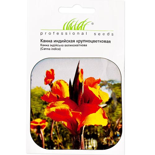 Канна индийская Профессиональные семена рисунок 1 артикул 72223