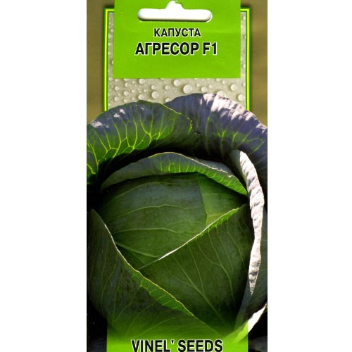 Капуста белокочанная Агрессор F1 Vinel seeds рисунок 1 артикул 95565