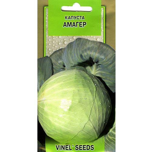 Капуста Амагер 640 Vinel seeds зображення 1 артикул 95566