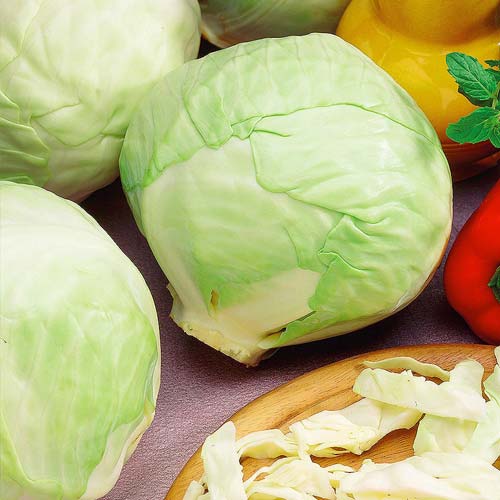 Капуста белокочанная Июньская Seedera рисунок 1 артикул 65546