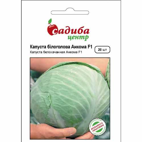 Капуста білокачанна Анкома F1 Садиба центр артикул фото 1 Капуста білокачанна Анкома F1 Садиба центр зображення 1 артикул 89269