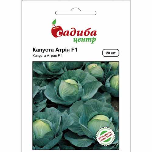 Капуста білокачанна Атрія F1 Садиба центр зображення 1 артикул 89270