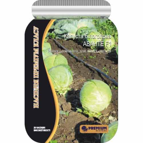 Капуста білокачанна Аванте F1 Яскрава зображення 1 артикул 90471