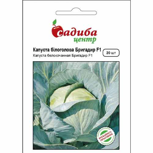 Капуста білокачанна Бригадир F1 Садиба центр зображення 1 артикул 89272