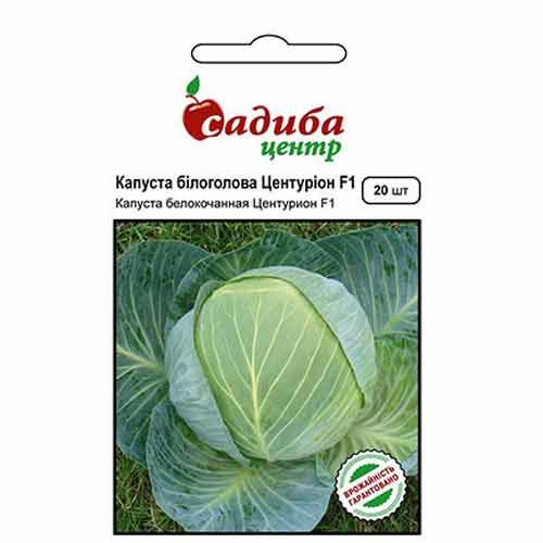 Капуста белокочанная Центурион F1 Садыба центр рисунок 1 артикул 89299