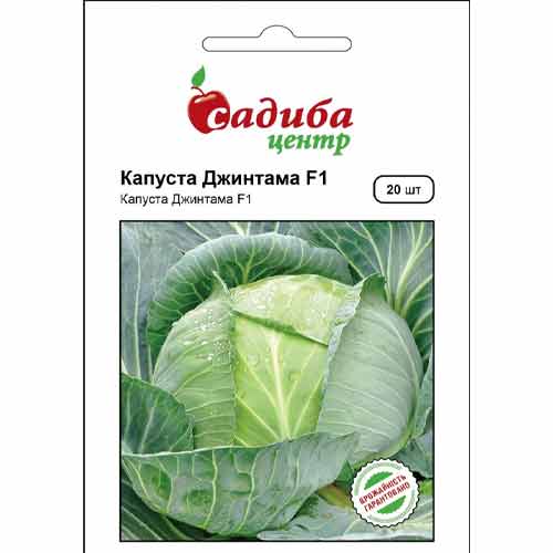 Капуста белокочанная Джинтама F1 Садыба центр рисунок 1 артикул 89274