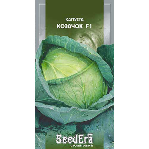 Капуста білокачанна Козачок F1 Seedera зображення 1 артикул 90073