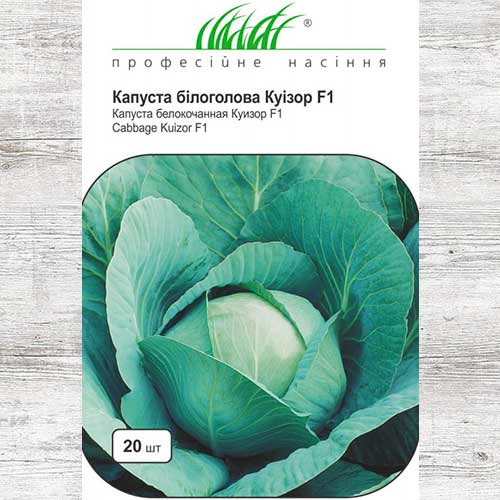 Капуста білоголова Куізор F1 зображення 1 артикул 90335